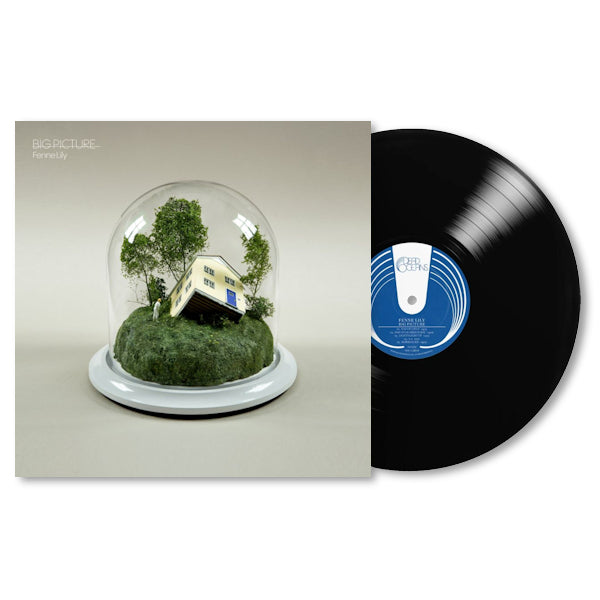 Fenne Lily - Big picture (LP) - Discords.nl