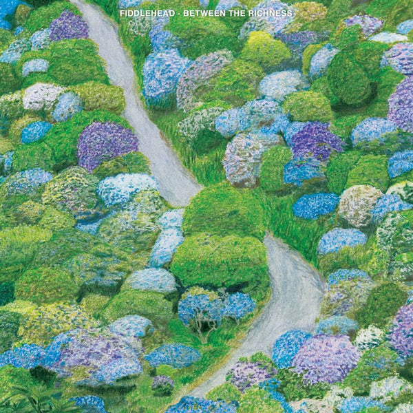 Fiddlehead - Between the richness (CD) - Discords.nl