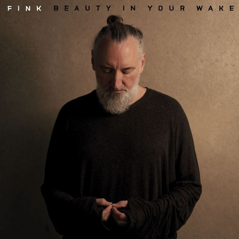 Fink - Beauty in your wake (deluxe) (CD) - Discords.nl