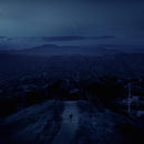 FINNEAS - FINNEAS - Blood Harmony  (LP) - Discords.nl