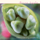 Fiona Apple - Extraordinary machine (LP) - Discords.nl