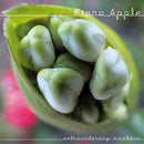 Fiona Apple - Extraordinary machine (CD) - Discords.nl