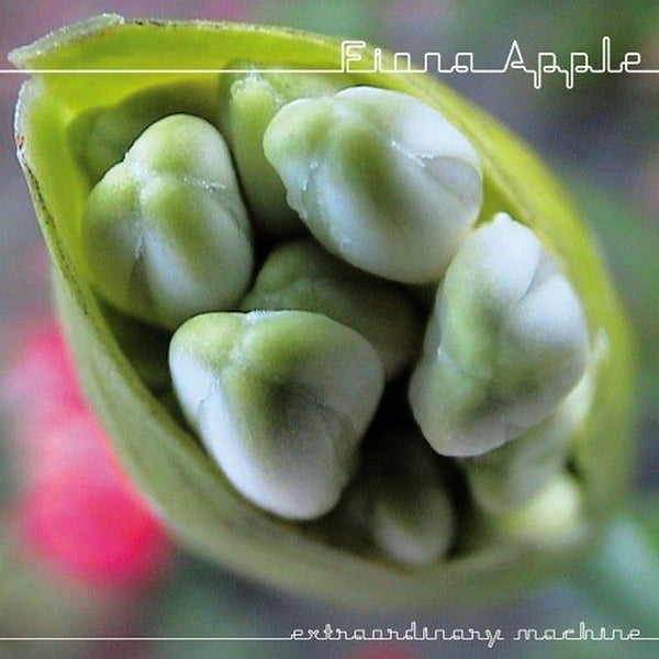 Fiona Apple - Extraordinary machine (CD) - Discords.nl