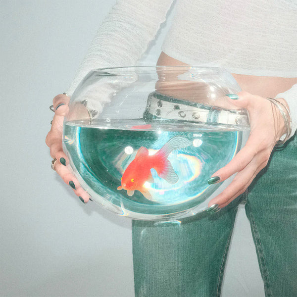 Fish Narc - Frog song (LP) - Discords.nl