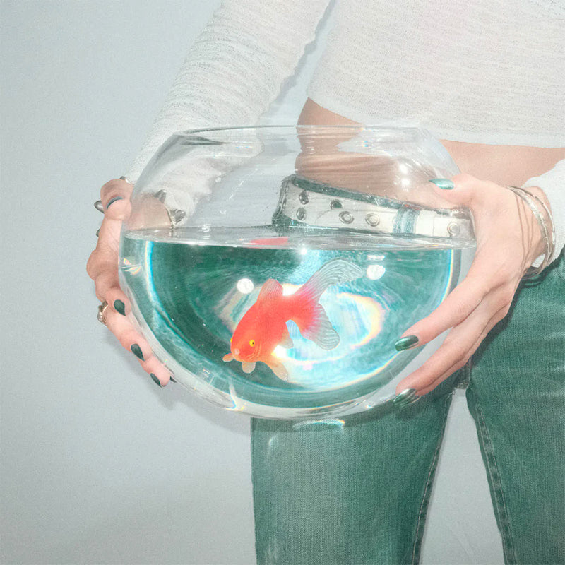 Fish Narc - Frog song (LP) - Discords.nl