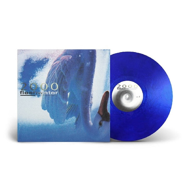 Fleshwater - 2000: in search of the endless sky (LP) - Discords.nl