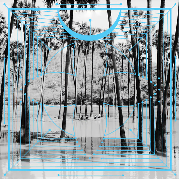 Four Tet - Pink (LP) - Discords.nl