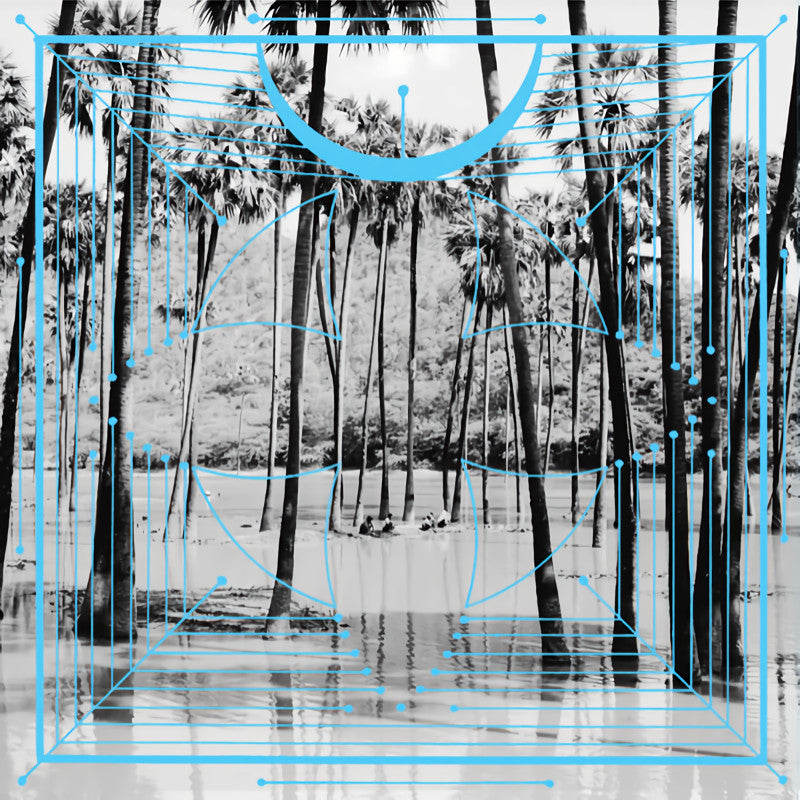 Four Tet - Pink (LP) - Discords.nl