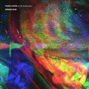 Frank Carter & The Rattlesnakes - Modern ruin (LP) - Discords.nl