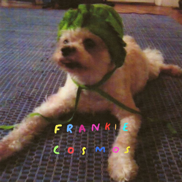 Frankie Cosmos - Zentropy (CD) - Discords.nl