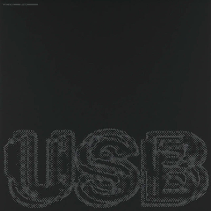 Fred Again.. - USB (LP)