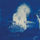 Fruit Bats - A river running to your heart (CD) - Discords.nl