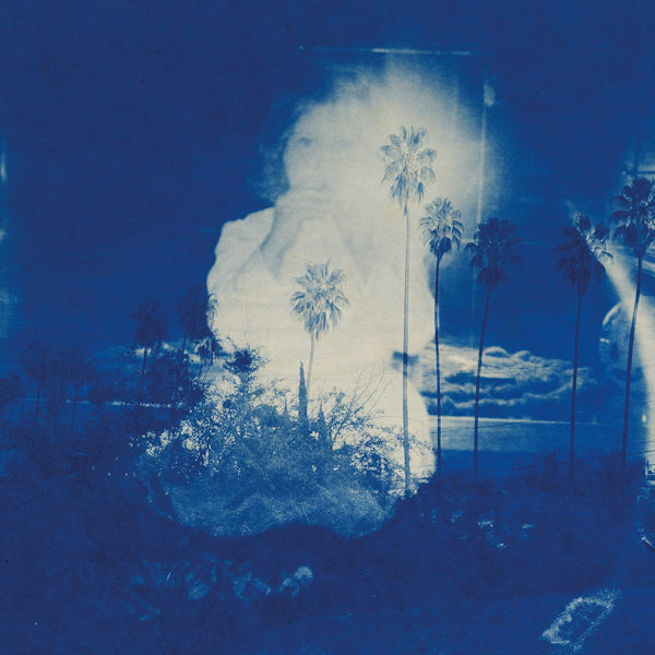 Fruit Bats - A river running to your heart (LP) - Discords.nl