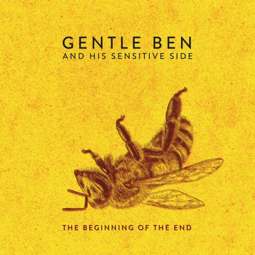 Gentle Ben & His Sensitive Side - The beginning of the end (LP) - Discords.nl