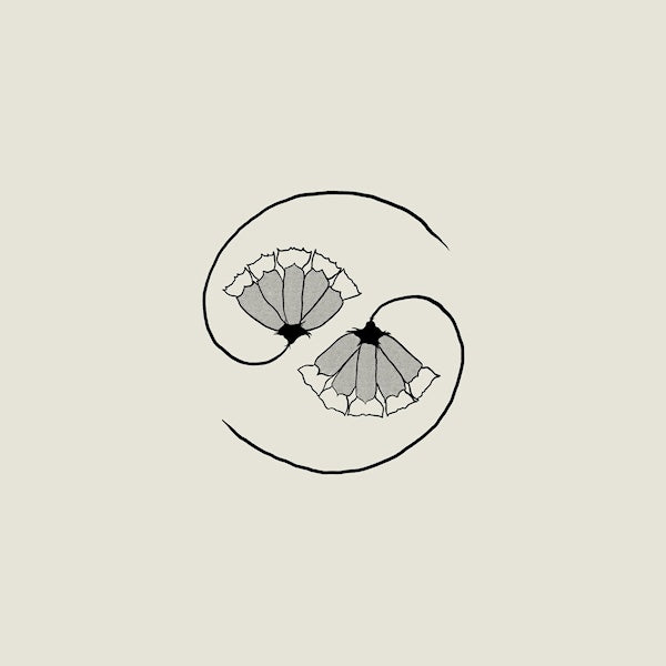 Godspeed You Black Emperor - G_d's pee at state's end (CD) - Discords.nl