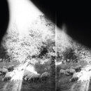 Godspeed You Black Emperor - Asunder, sweet & other distress (CD) - Discords.nl