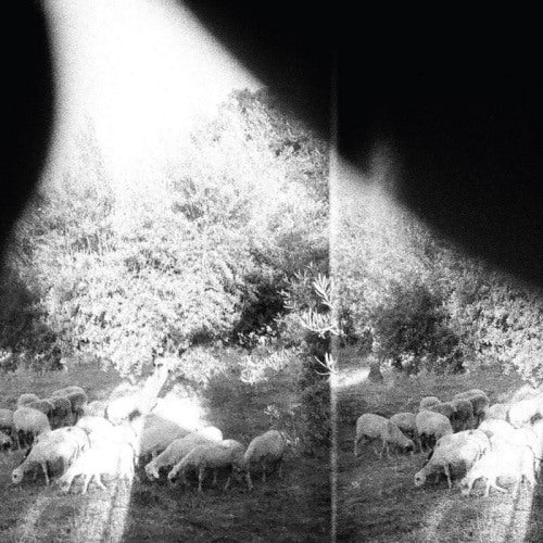 Godspeed You Black Emperor - Asunder, sweet & other distress (CD) - Discords.nl