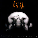 Gojira - Terra incognita (LP) - Discords.nl