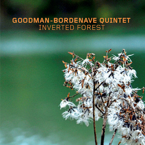 Goodman-bordenave Quintet - Inverted forest (CD) - Discords.nl