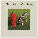 Rush - Signals (CD Tweedehands)