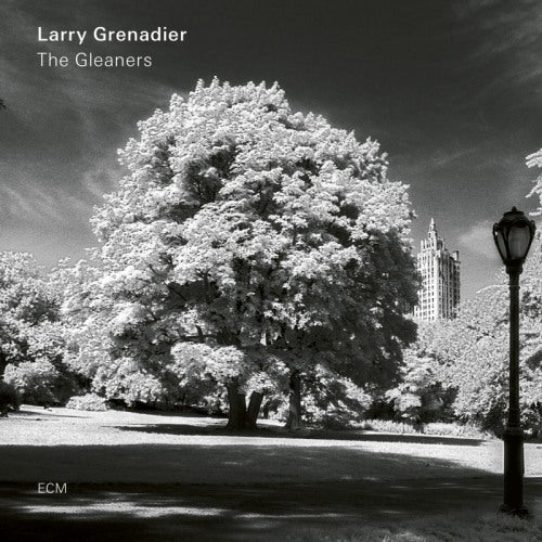 Larry Grenadier - Gleaners (LP) - Discords.nl