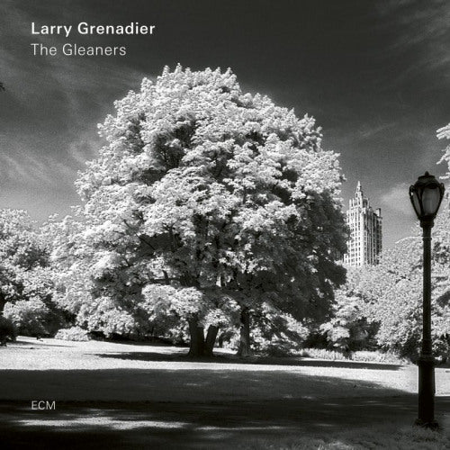 Larry Grenadier - Gleaners (CD) - Discords.nl