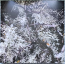 Fink - Beauty In Your Wake (LP) - Discords.nl