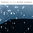 Tord Gustavsen /simin Tander - What was said (LP) - Discords.nl