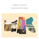 Gabriel Kahane - Magnificent bird (LP) - Discords.nl