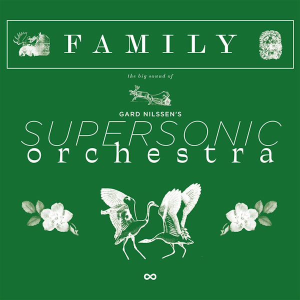 Gard Nilssen's Supersonic Orchestra - Family (LP) - Discords.nl