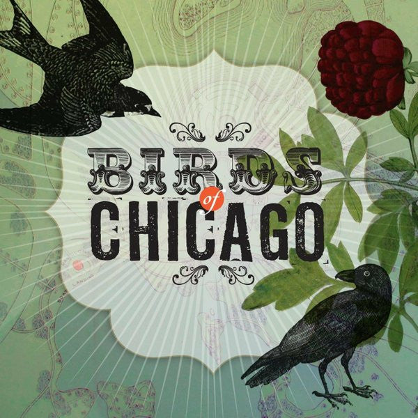 Birds Of Chicago - Birds Of Chicago (CD)