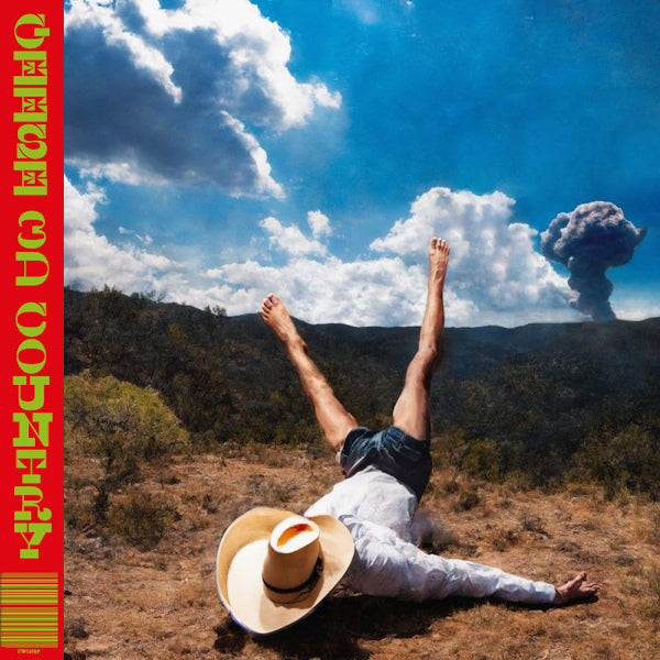 Geese - 3d country (LP) - Discords.nl