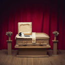 Gregory Pepper & His Problems - No thanks (LP) - Discords.nl