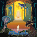 Gin Lady - Before the dawn of time (LP) - Discords.nl