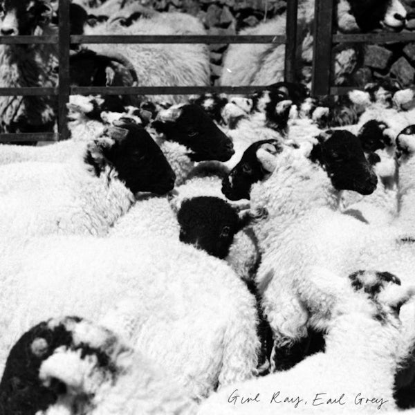 Girl Ray - Earl grey (LP) - Discords.nl