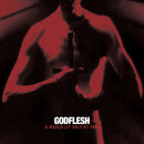 Godflesh - A world lit only by fire (LP)