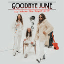 Goodbye June - See where the night goes (LP) - Discords.nl