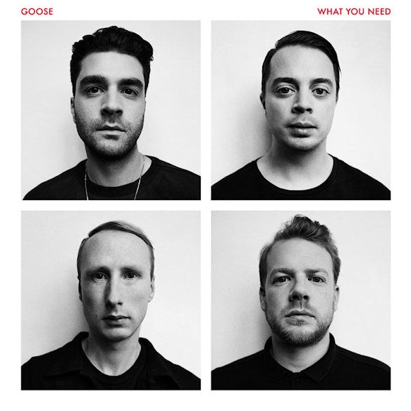 Goose - What you need (LP) - Discords.nl