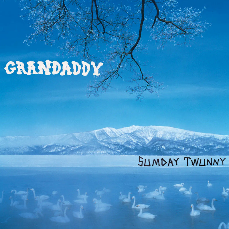 Grandaddy - Sumday twunny (LP) - Discords.nl