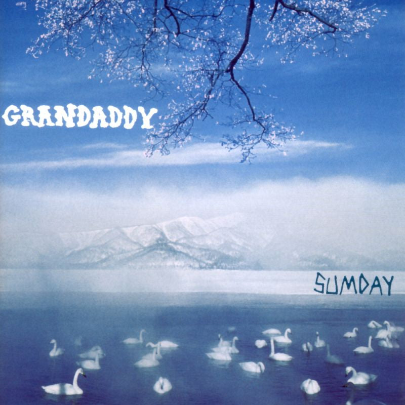 Grandaddy - Sumday (LP) - Discords.nl