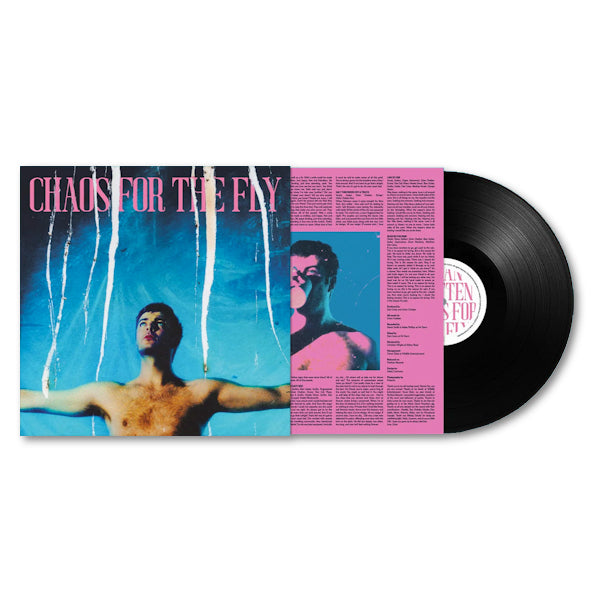 Grian Chatten - Chaos for the fly (LP) - Discords.nl
