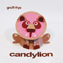 Gruff Rhys - Candylion (CD) - Discords.nl