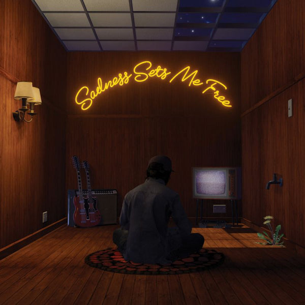Gruff Rhys - Sadness sets me free (LP) - Discords.nl
