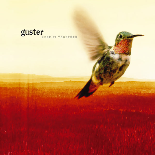 Guster - Keep it together (LP) - Discords.nl
