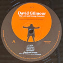 David Gilmour - The Luck And Strange Concerts (LP)