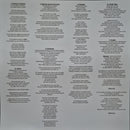 Michael Cera Palin - We Could Be Brave (LP) - Discords.nl