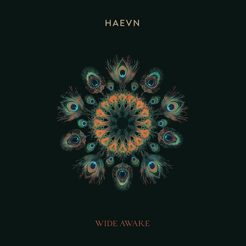 Haevn - Wide awake (LP)