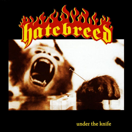 Hatebreed - 7-under the knife (12-inch)