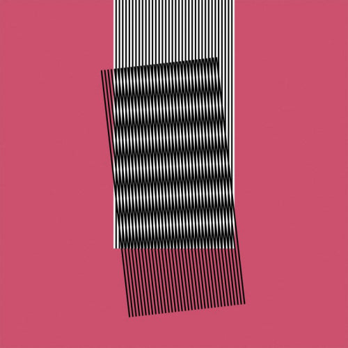 Hot Chip - Why make sense? (LP) - Discords.nl