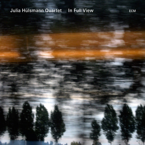Julia Hulsmann -quartet- - In full view (CD) - Discords.nl